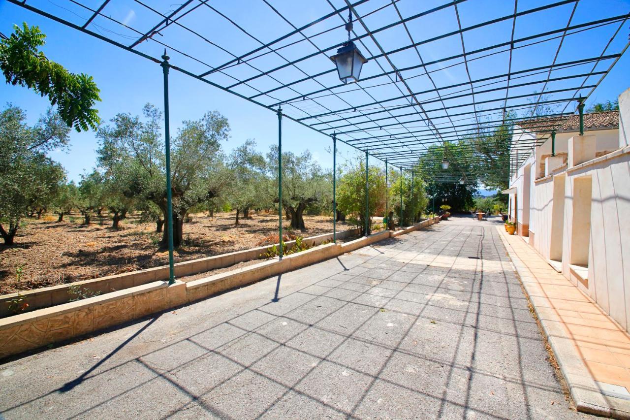 Senia Tomaset II Villa Onil Exterior foto